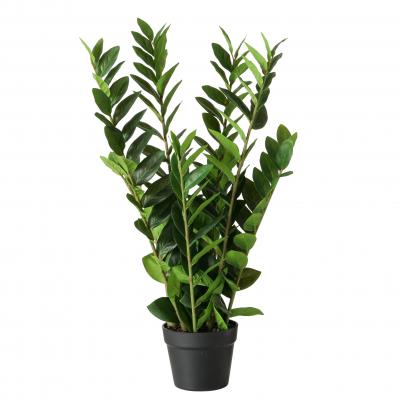 Dekorativní umělá rostlina Zamioculcas